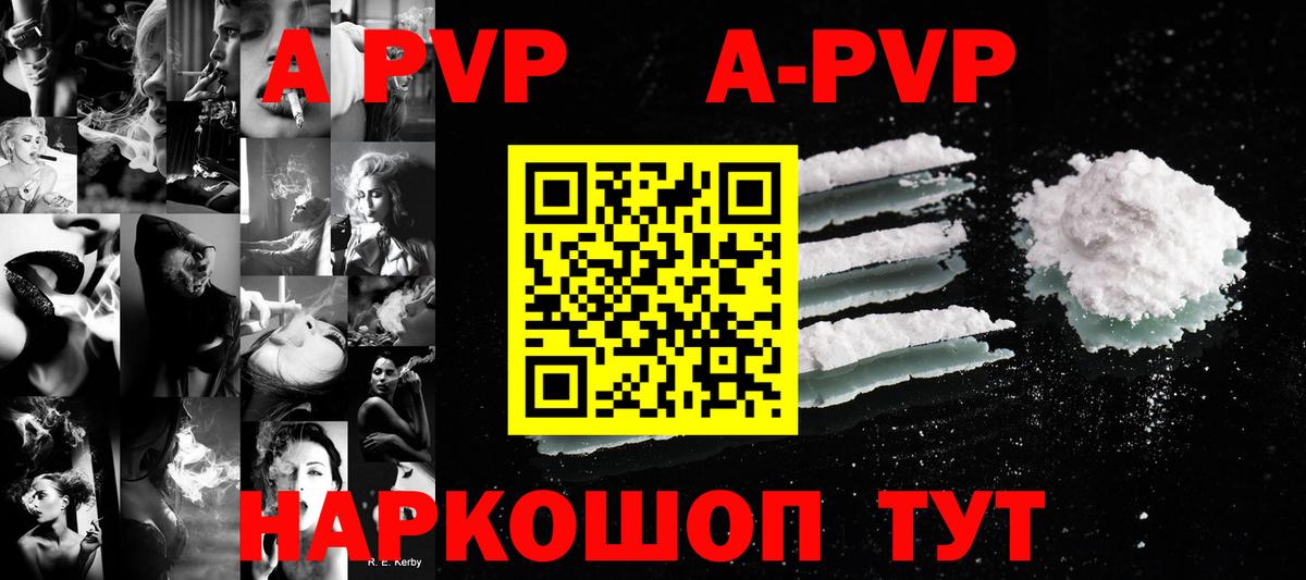 A PVP СК КРИС Саяногорск